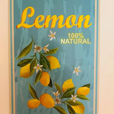 Lilienstein, Dachgeschoss-studio Neu 2026