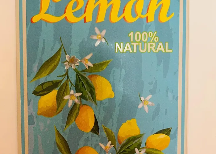 Lilienstein, Dachgeschoss-studio Neu 2026